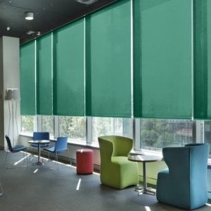 rem-cuon-van-phong-RCVP19